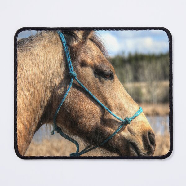 Item preview, Buckskin Horse overlooking Pond designed and sold by NaturePrints.