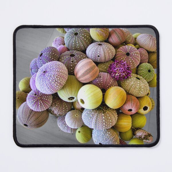 Item preview, Urchins designed and sold by Dean Wiles.