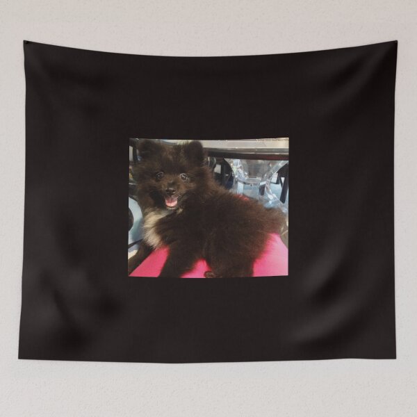 Item preview, Pom Excitement designed and sold by jennyleeandjim.