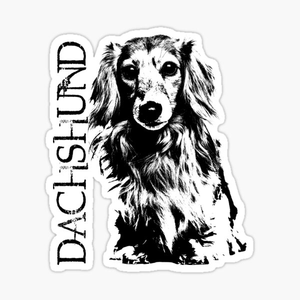 Longhaired Dachshund dog Sticker