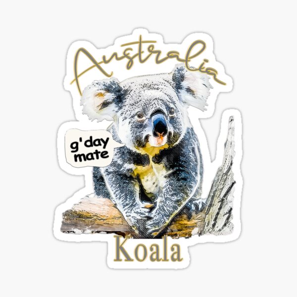 The Warm Rainbow Koala