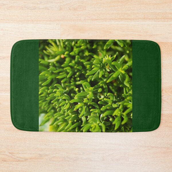 Item preview, Going Cactus Green  designed and sold by Joy Watson - Natural Light Photography .