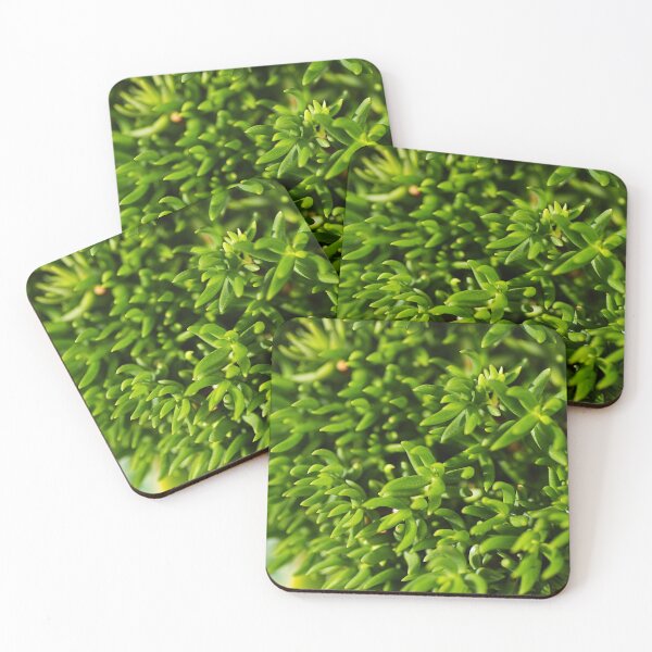Item preview, Going Cactus Green  designed and sold by Joy Watson - Natural Light Photography .