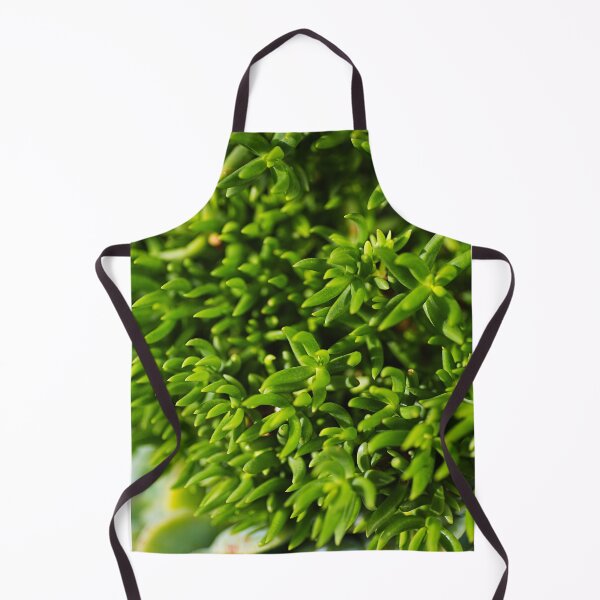 Item preview, Going Cactus Green  designed and sold by Joy Watson - Natural Light Photography .