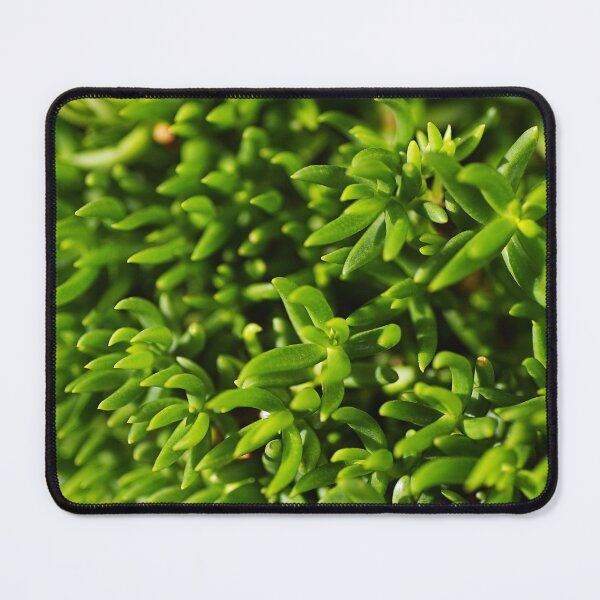 Item preview, Going Cactus Green designed and sold by Joy Watson - Natural Light Photography .