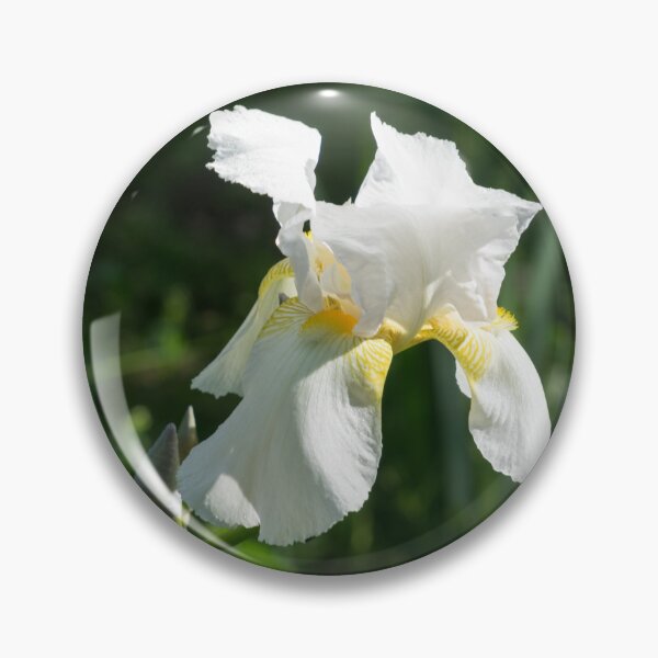 Item preview, Pearly Petals - Blooming Bearded German Iris designed and sold by Georgia Mizuleva.