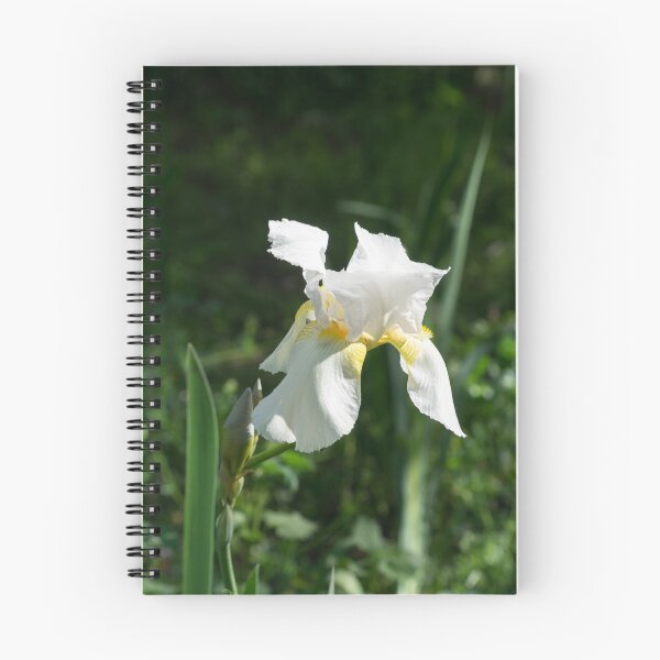 Item preview, Pearly Petals - Blooming Bearded German Iris designed and sold by Georgia Mizuleva.