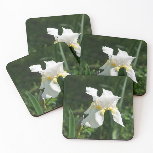 Item preview, Pearly Petals - Blooming Bearded German Iris designed and sold by Georgia Mizuleva.