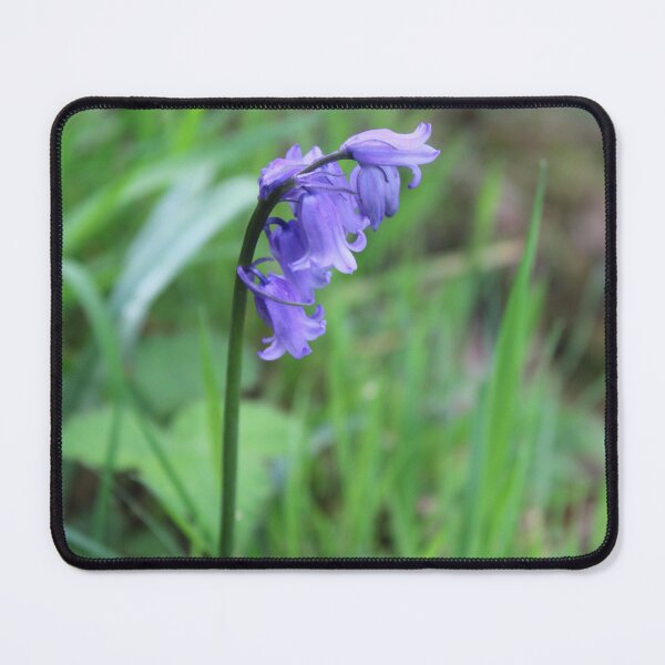 Item preview, bluebell designed and sold by KathleenDawson.