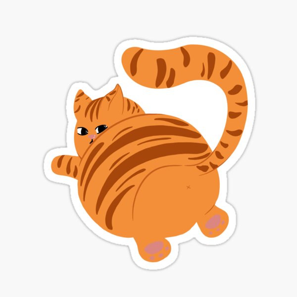 Cat, cute, fat, feline, ginger, meow, pet icon - Download on Iconfinder