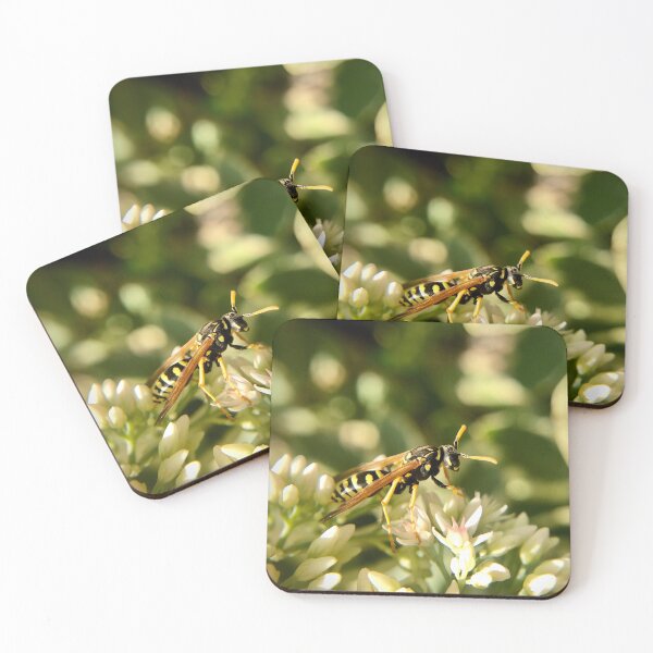 Item preview, Yellowjacket on blooming sedums designed and sold by Katrina Valuyeva.
