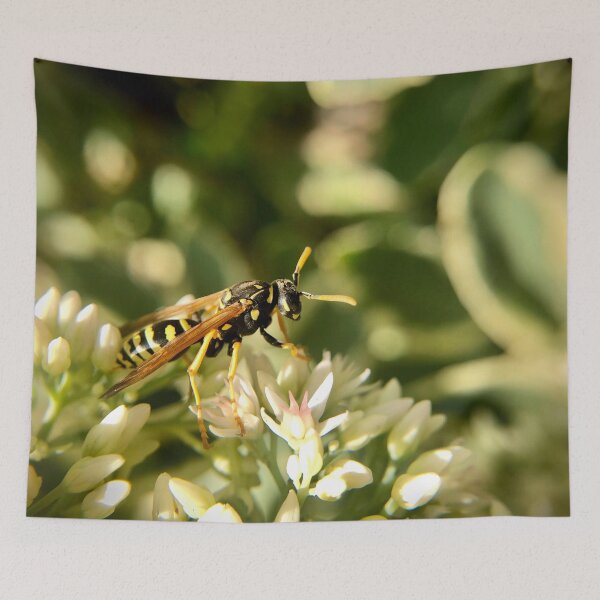 Item preview, Yellowjacket on blooming sedums designed and sold by Katrina Valuyeva.