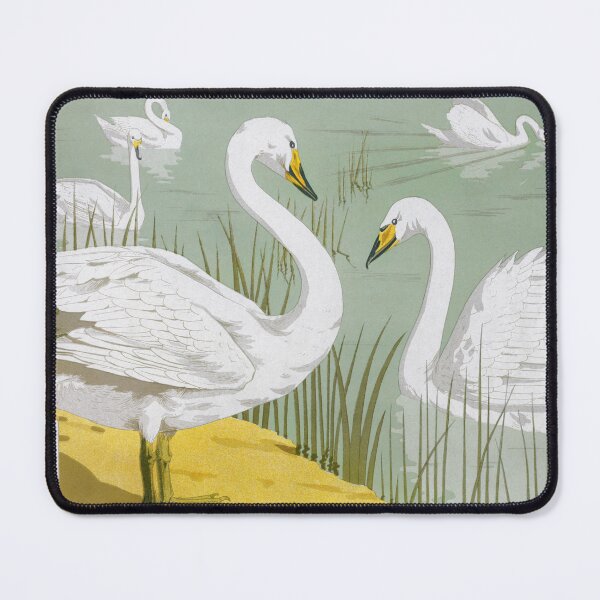 Item preview, Vintage White Swans on a Riverbank | P351 designed and sold by Piccolo Fiore Prints.