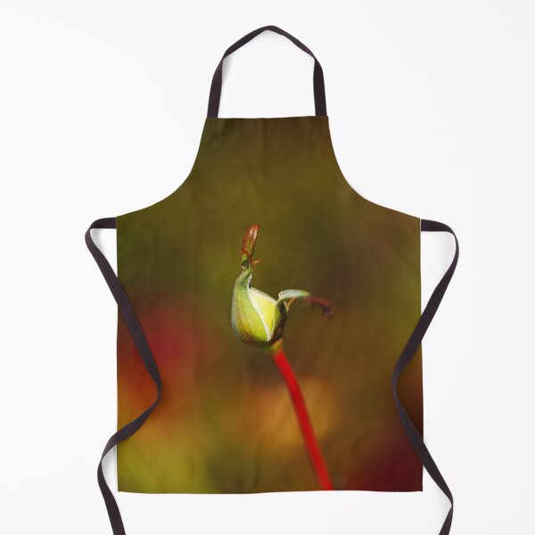 Item preview, Rich Bud Late Autumn Rose designed and sold by Joy Watson - Natural Light Photography .