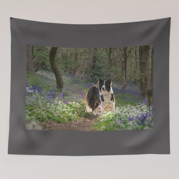 Item preview, Border Collie designed and sold by Alisonchambers2.