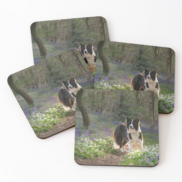 Item preview, Border Collie designed and sold by Alisonchambers2.