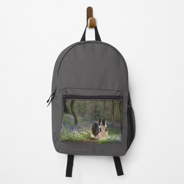 Item preview, Border Collie designed and sold by Alisonchambers2.