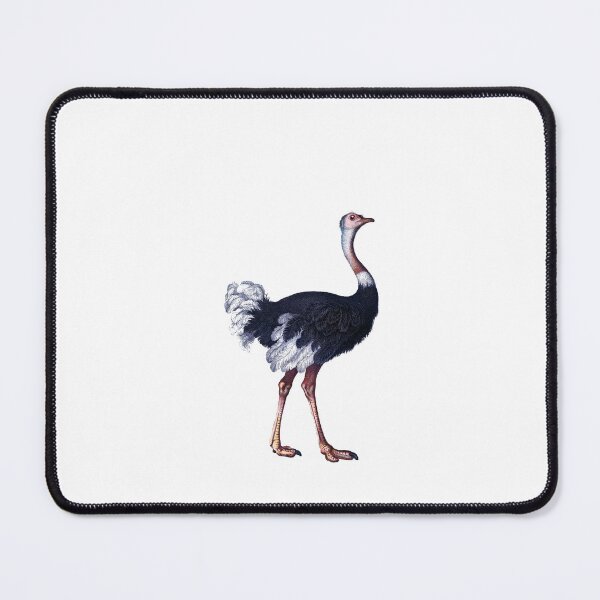 Item preview, Ostrich illustration designed and sold by kayadmu.