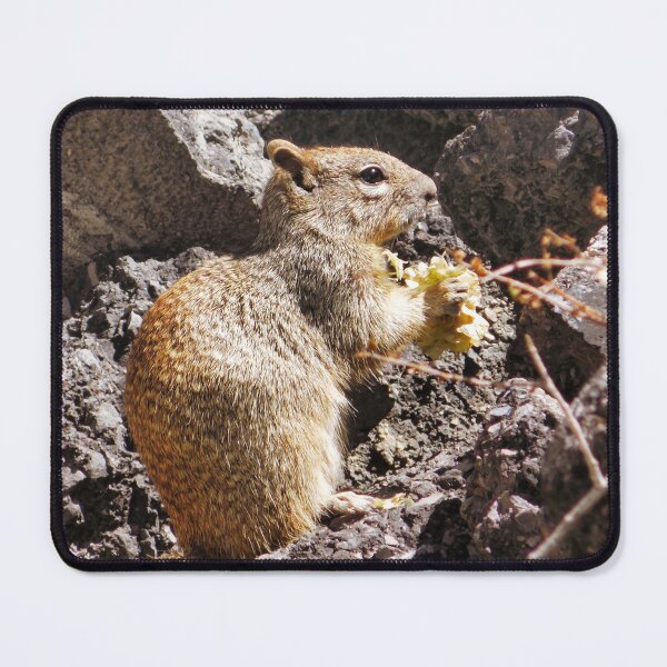 Item preview, Ground Squirrel Bouquet - Nikon designed and sold by OnigiriSuiko.