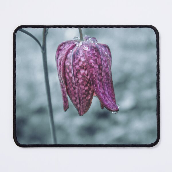 Item preview, Purple Fritillary designed and sold by RichardSayer.