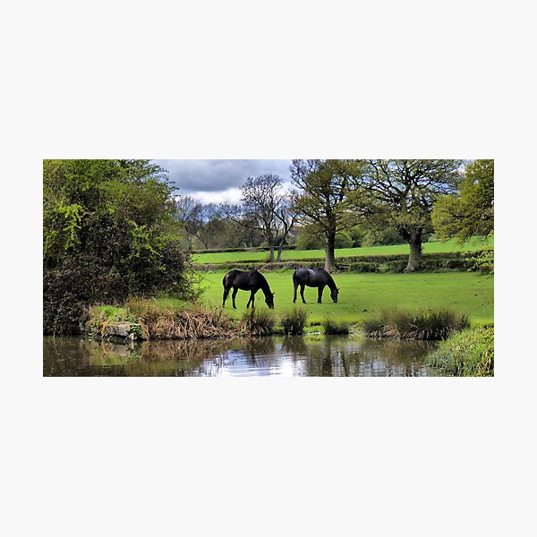 Item preview, horses in a field designed and sold by Richard Plastow.
