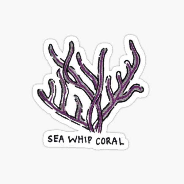 Item preview, Sea Whip Coral (with label) designed and sold by gabbyriddle.