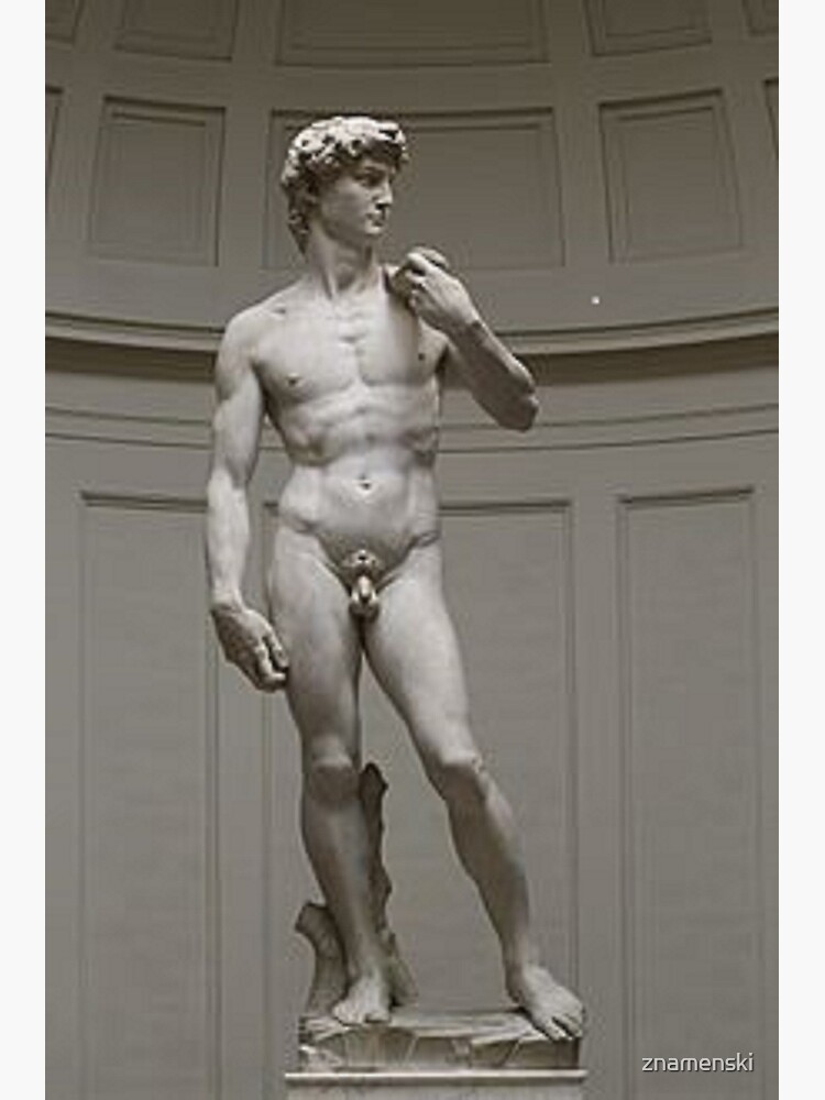 David by Michelangelo #David #Michelangelo #DavidbyMichelangelo #masterpiece Renaissance sculpture by znamenski