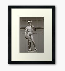 David by Michelangelo Framed Print