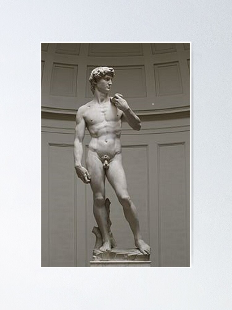 Alternate view of David by Michelangelo #David #Michelangelo #DavidbyMichelangelo #masterpiece Renaissance sculpture Poster