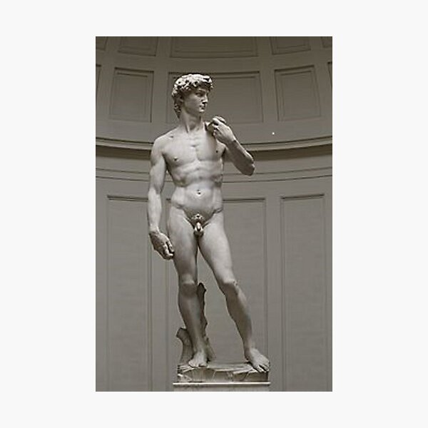 David by Michelangelo #David #Michelangelo #DavidbyMichelangelo #masterpiece Renaissance sculpture Photographic Print