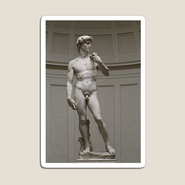 David by Michelangelo #David #Michelangelo #DavidbyMichelangelo #masterpiece Renaissance sculpture Magnet