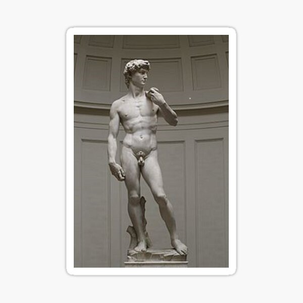 David by Michelangelo #David #Michelangelo #DavidbyMichelangelo #masterpiece Renaissance sculpture Sticker