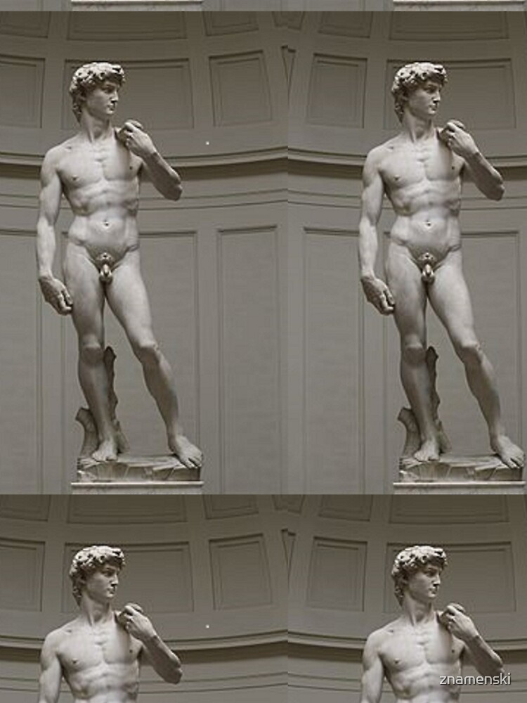 David by Michelangelo #David #Michelangelo #DavidbyMichelangelo #masterpiece Renaissance sculpture by znamenski