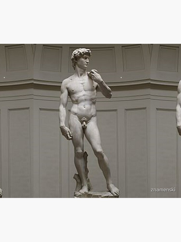David by Michelangelo #David #Michelangelo #DavidbyMichelangelo #masterpiece Renaissance sculpture by znamenski