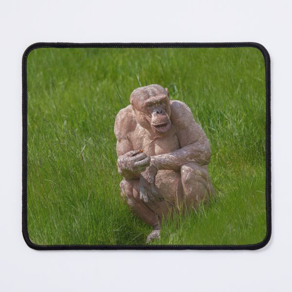 Item preview, Hairless Chimpanzee Sitting In The Grass designed and sold by rawshutterbug.