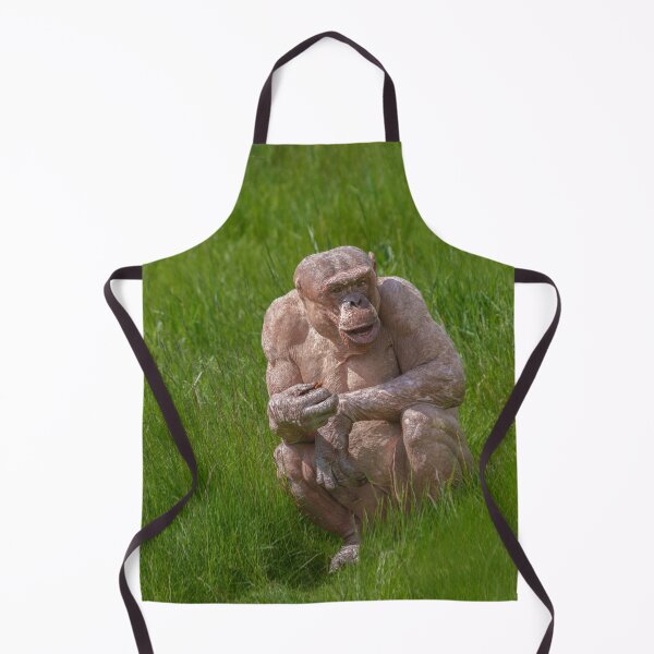Item preview, Hairless Chimpanzee Sitting In The Grass designed and sold by rawshutterbug.