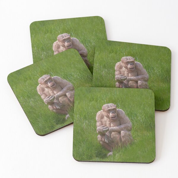 Item preview, Hairless Chimpanzee Sitting In The Grass designed and sold by rawshutterbug.