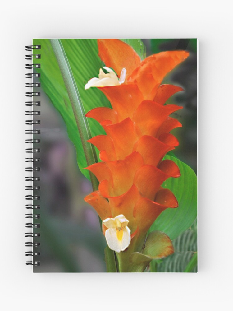 Orange Ginger Flower  Spiral Notebook