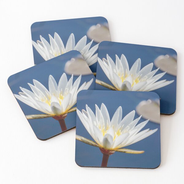 Item preview, Lone Waterlily designed and sold by Julie Navitka.