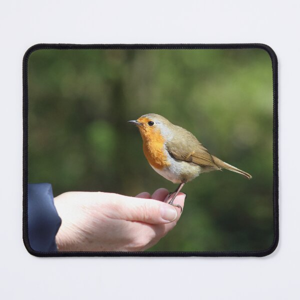 Item preview, Trusting Robin Red Breast. designed and sold by prestongeorge.