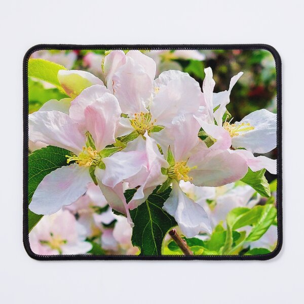 Item preview, Gorgeous Malus asiatica Photo designed and sold by Health And Fitness Posts e-Store.