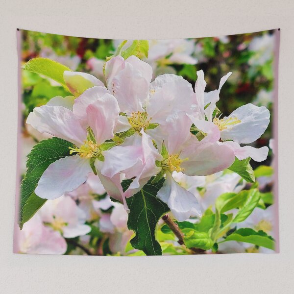 Item preview, Gorgeous Malus asiatica Photo designed and sold by Health And Fitness Posts e-Store.