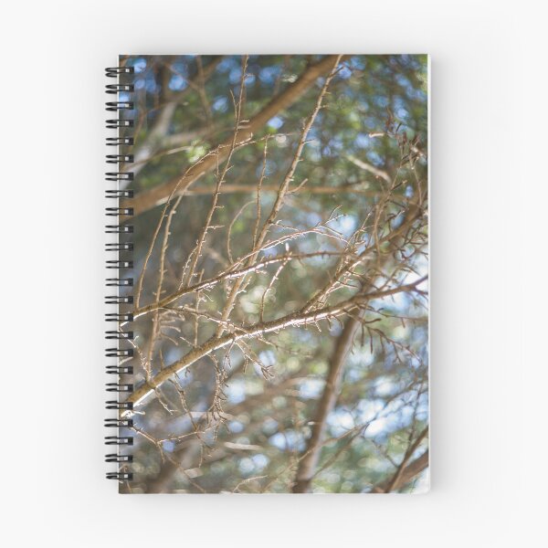 Item preview, Branches designed and sold by hinting.