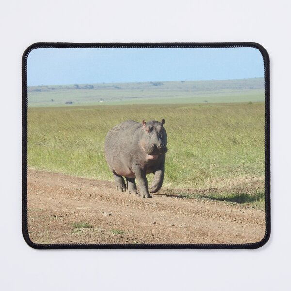 Item preview, Hippo in motion designed and sold by Faunagraphy360.