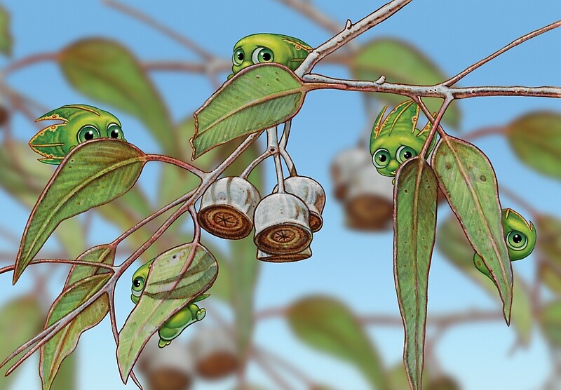 "Squeaks in Trees" by Mythic Australia Redbubble