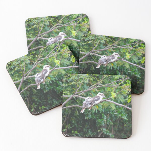 Item preview, Kookaburras designed and sold by AHELENE.