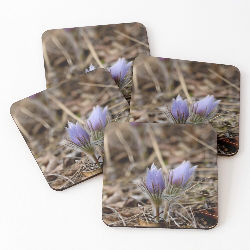 Item preview, Coasters (Set of 4) designed and sold by OhSnapPhoto.