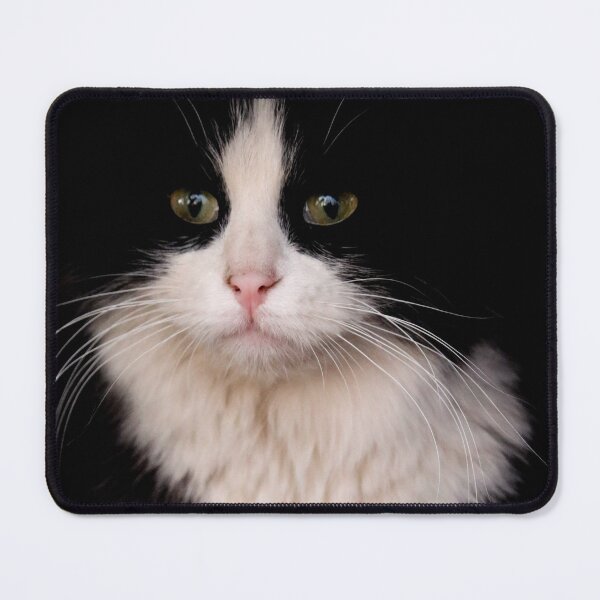 Item preview, Hissy designed and sold by OhSnapPhoto.