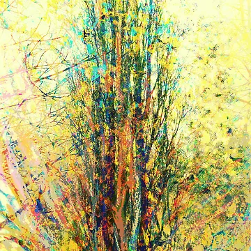 Artwork thumbnail, Spring Tree by Marzena Salwowska