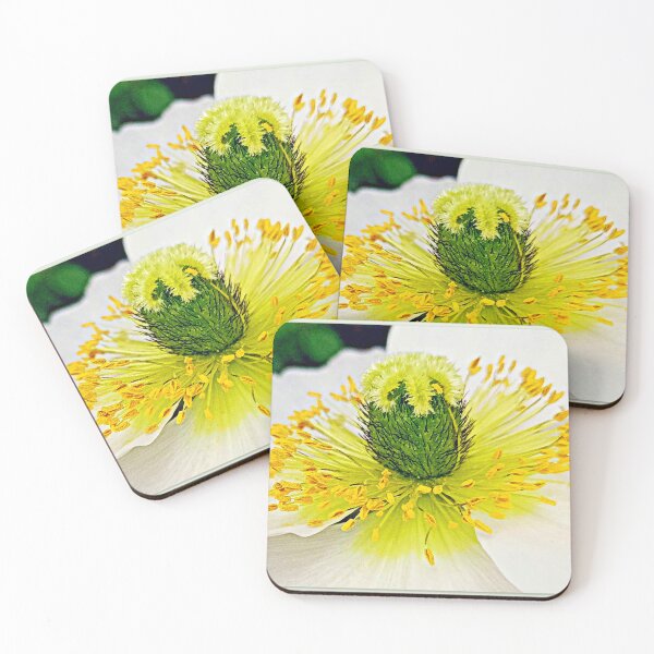 Item preview, Anemone Beauty designed and sold by angel1.